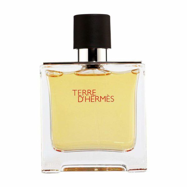 Hermes Terre D'Hermes Pure Parfum 200ml - Perfume Boss